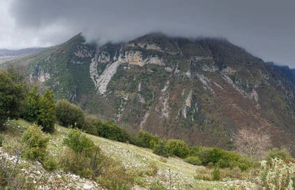 Vicos Panoramic