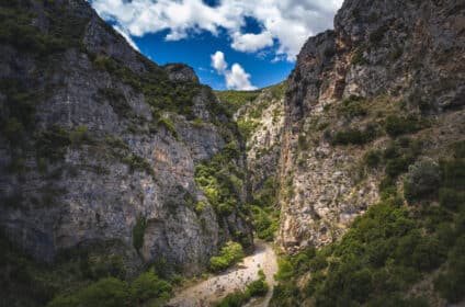 Gorge of Asopos